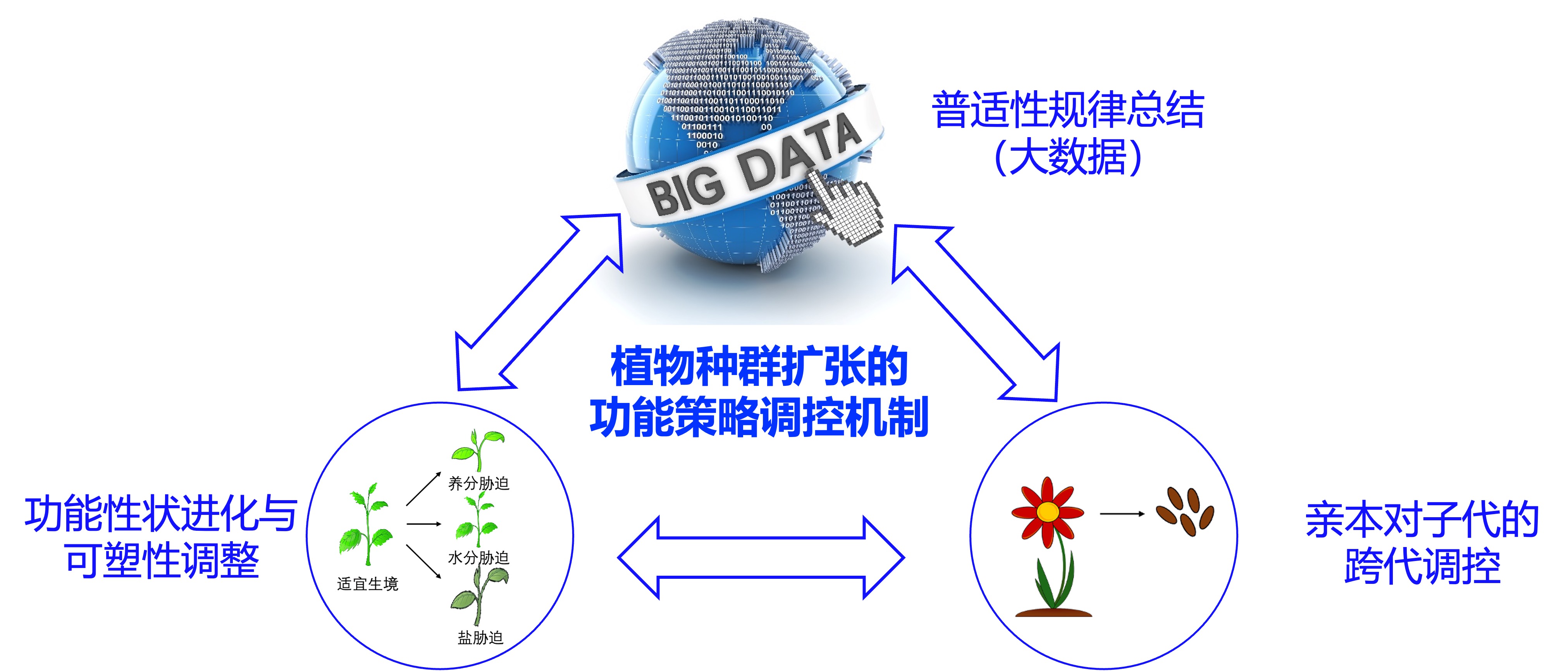 主要研究方向