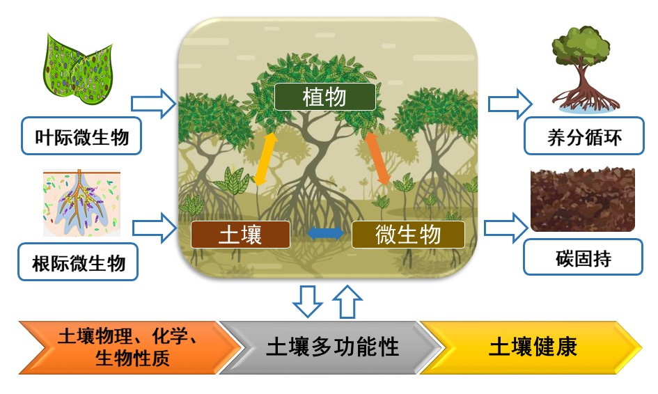 主要成果