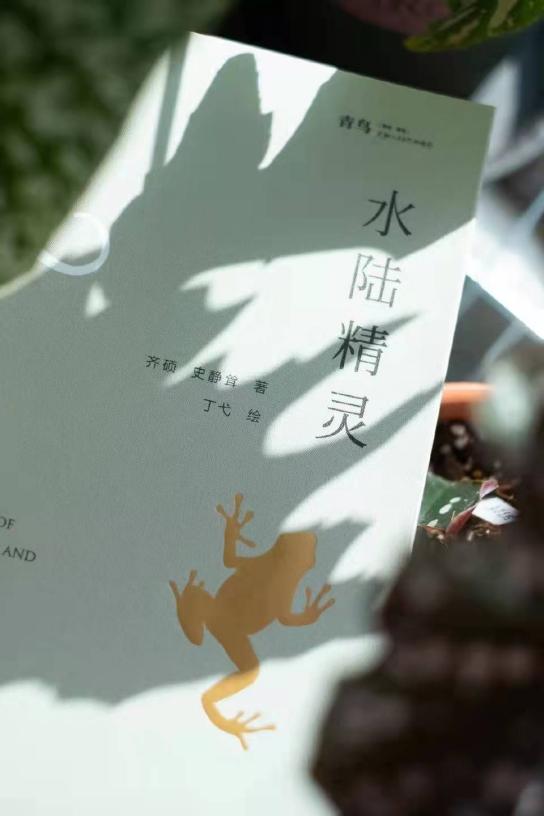 image-20220125095450-12