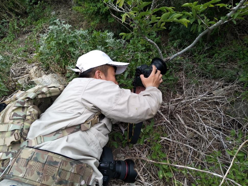 image-20220125095450-17