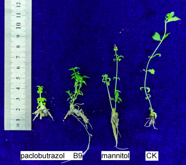 image-20230509130533-2