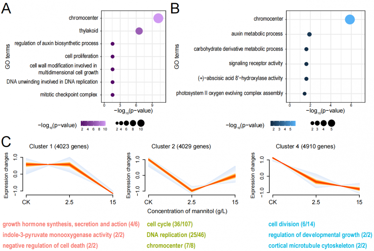 image-20230509130533-3