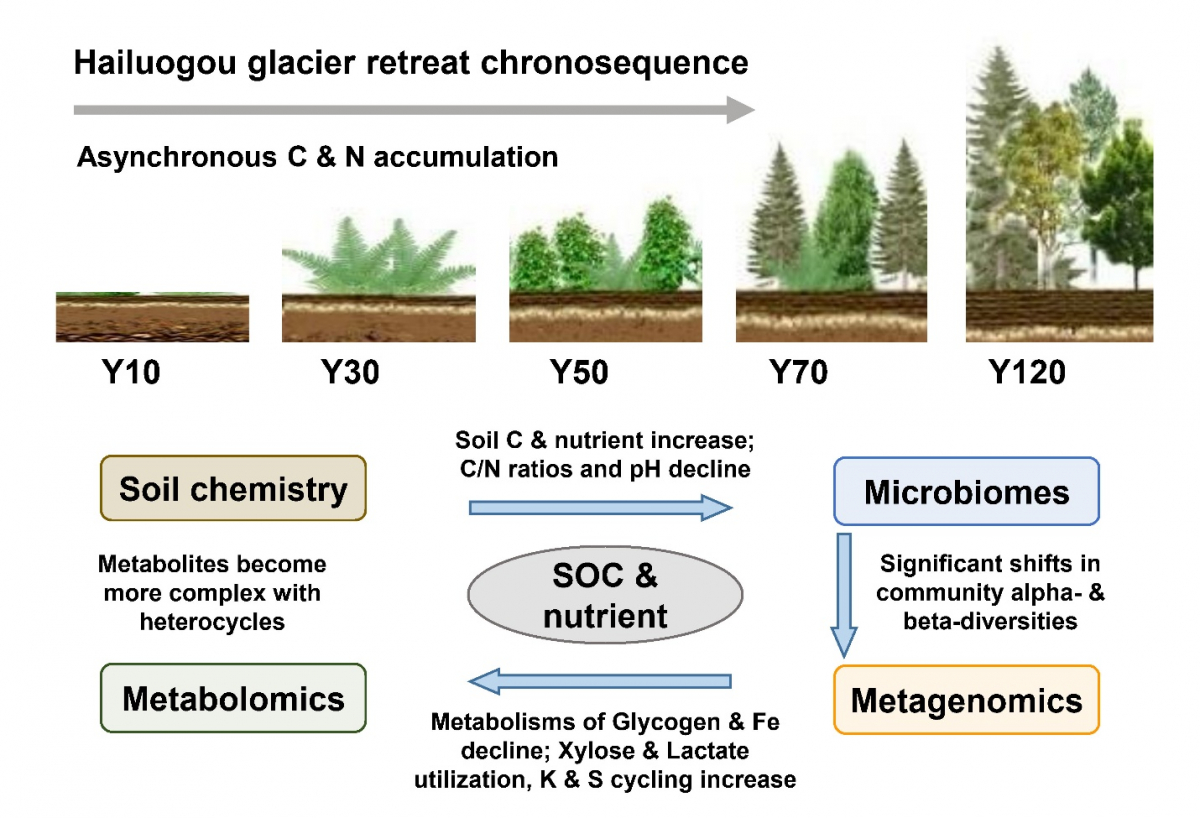 image-20230711153230-1