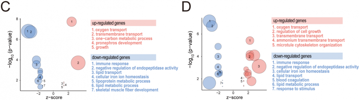 image-20230726142015-2