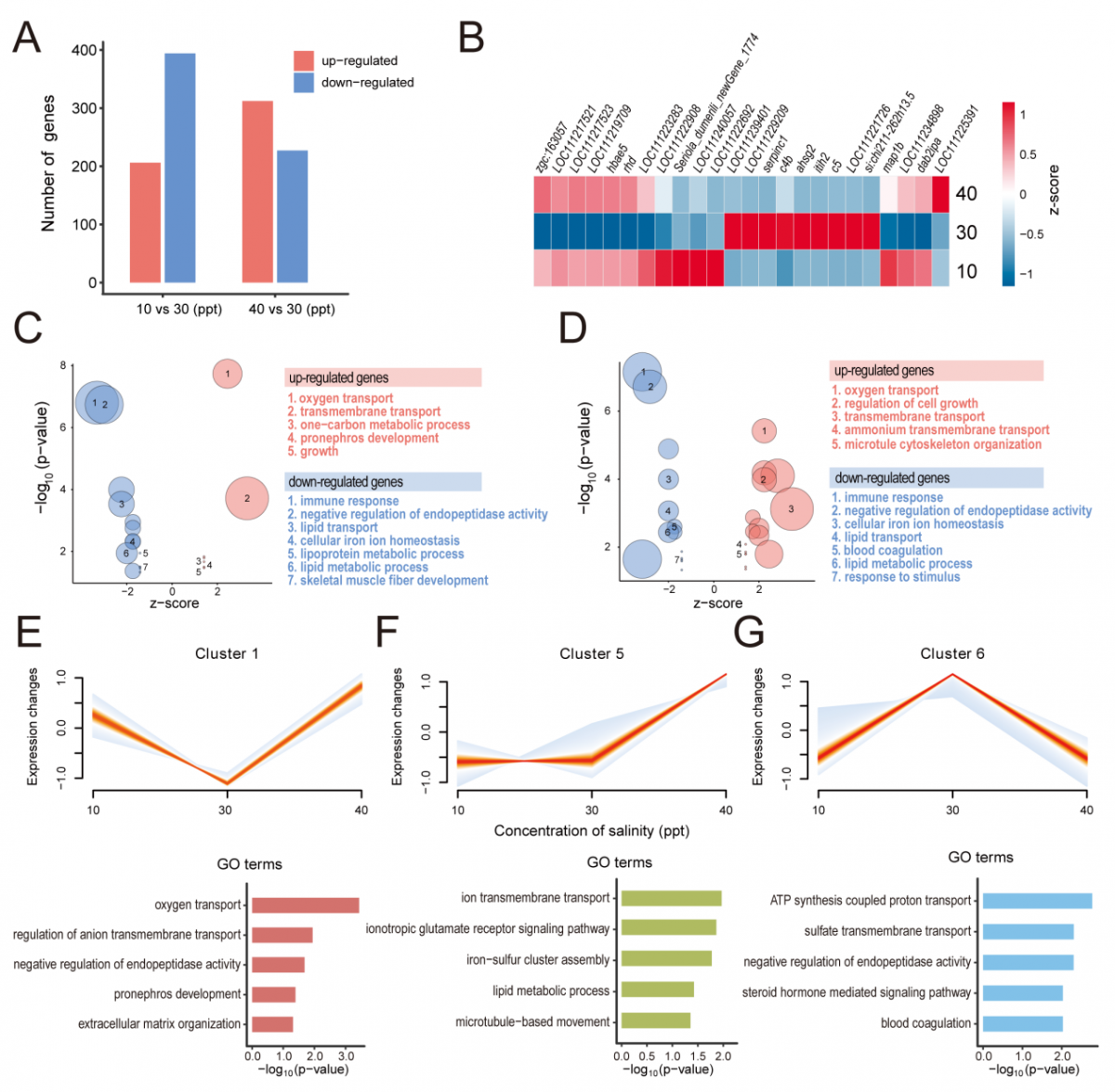 image-20230726142015-3