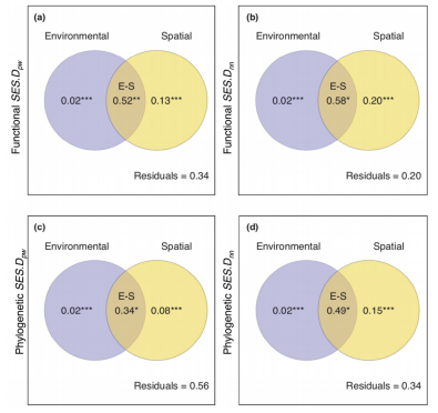 image-20231109173029-3